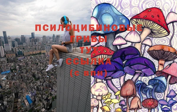 ECSTASY Волоколамск