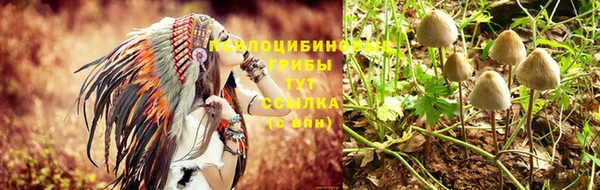 каннабис Пестово