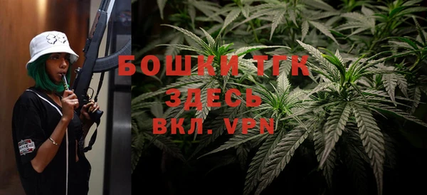 spice Пересвет