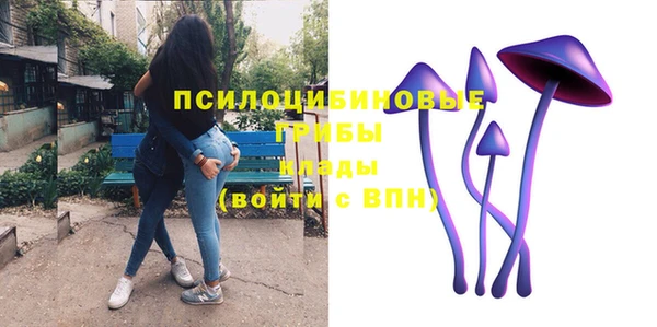 первитин Володарск