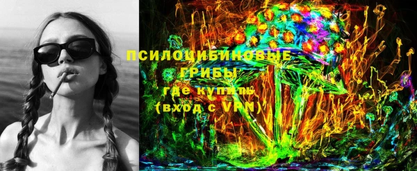 гидра Козловка