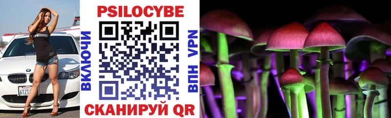 Псилоцибиновые грибы Psilocybe  Курильск 